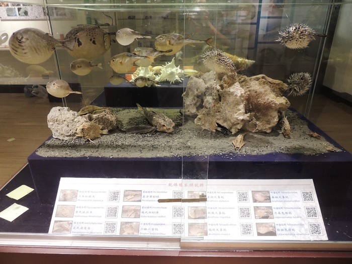 Specimen exhibition