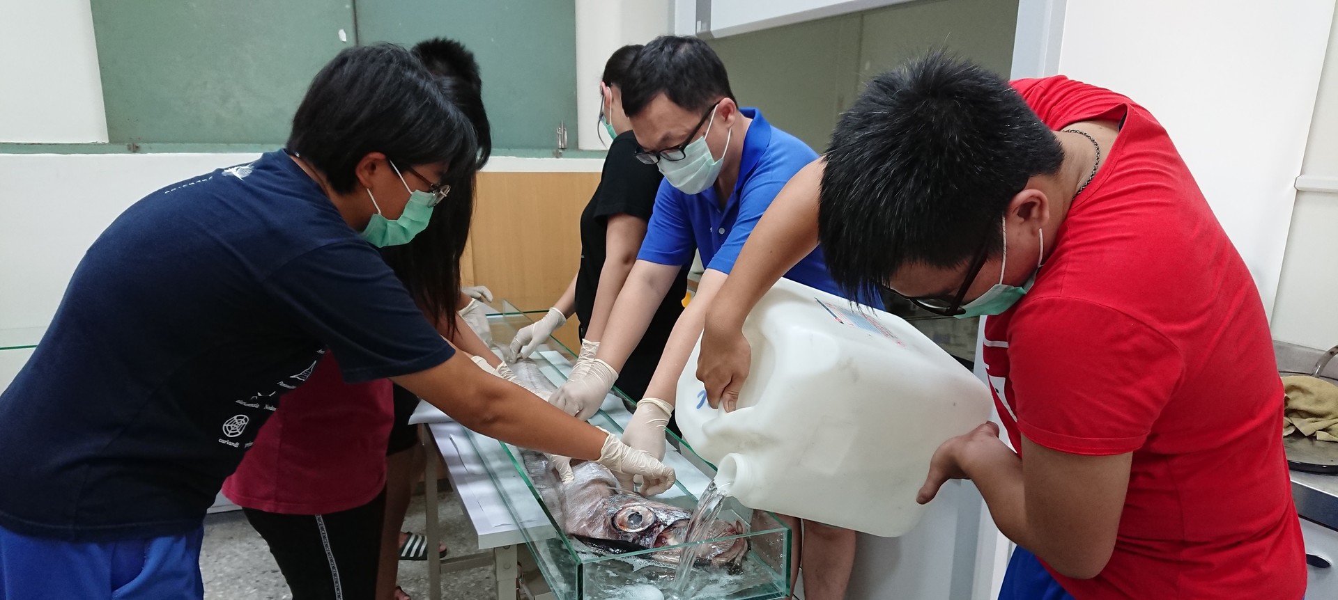 Students replace the preservation fluid under the guidance of Associate Professor Te-Yu Liao.