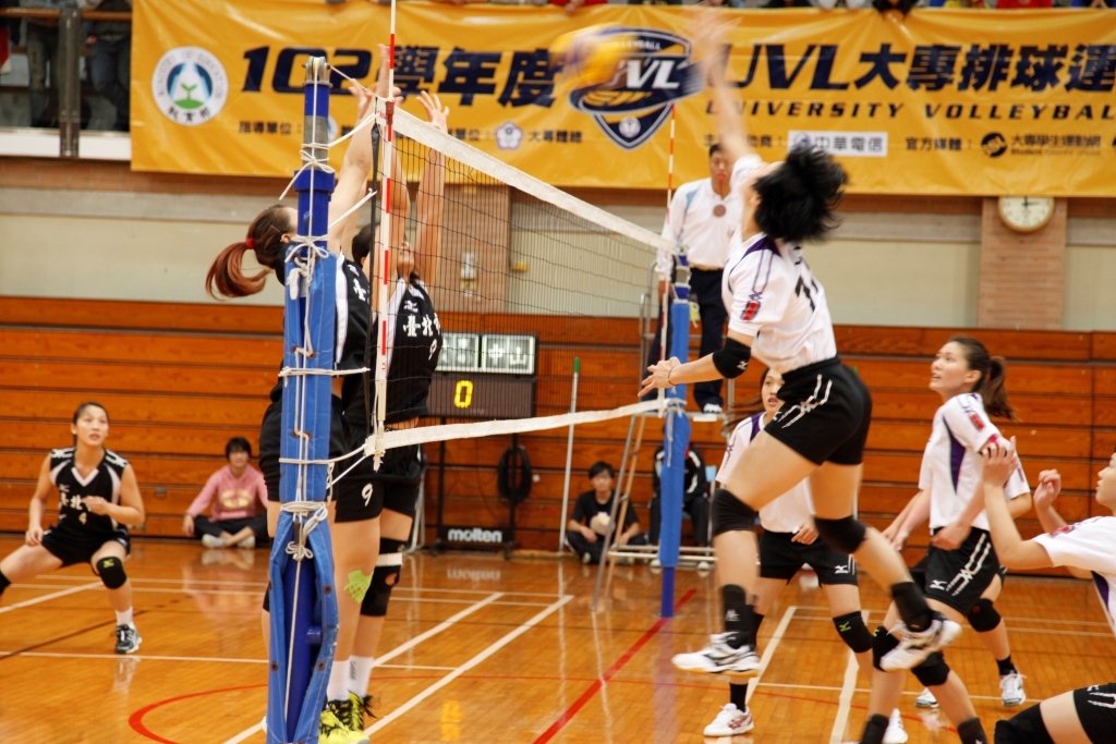 預賽五戰全勝圖片