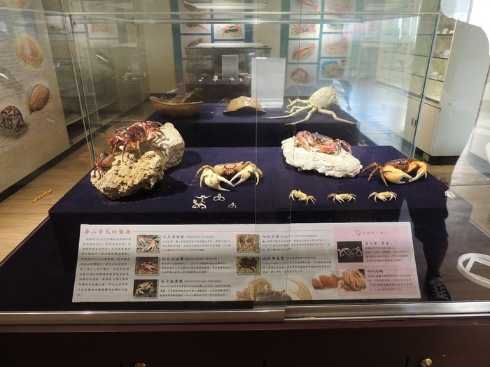Marine Biotechnology and Biodiversity Exhibition Gallery: exhibits