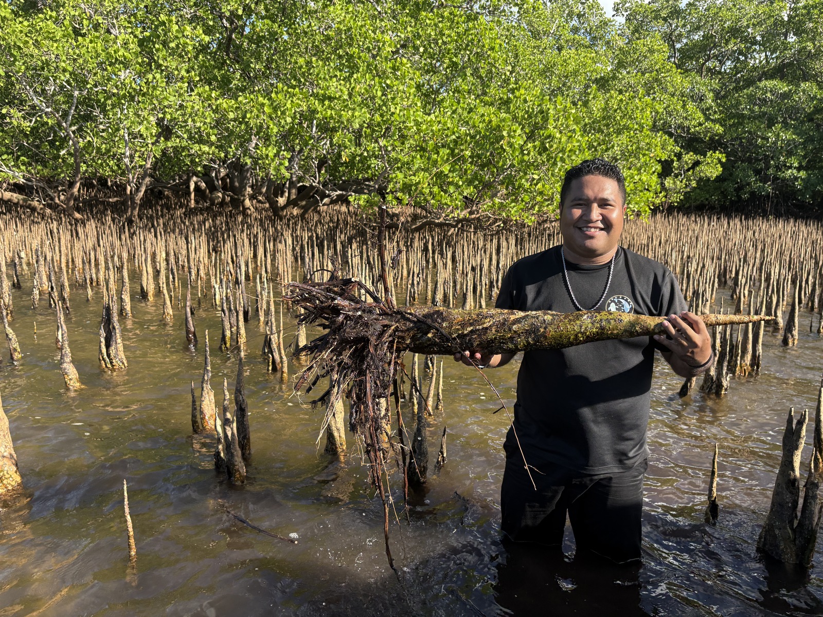 NSYSU Palauan doctoral student Vicente Gadngay Abedneko and valuable mangrove resources.Image