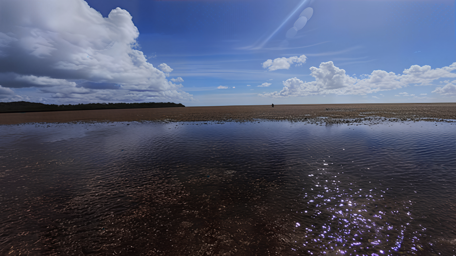 Vast seagrass and seaweed beds in Palau.Image