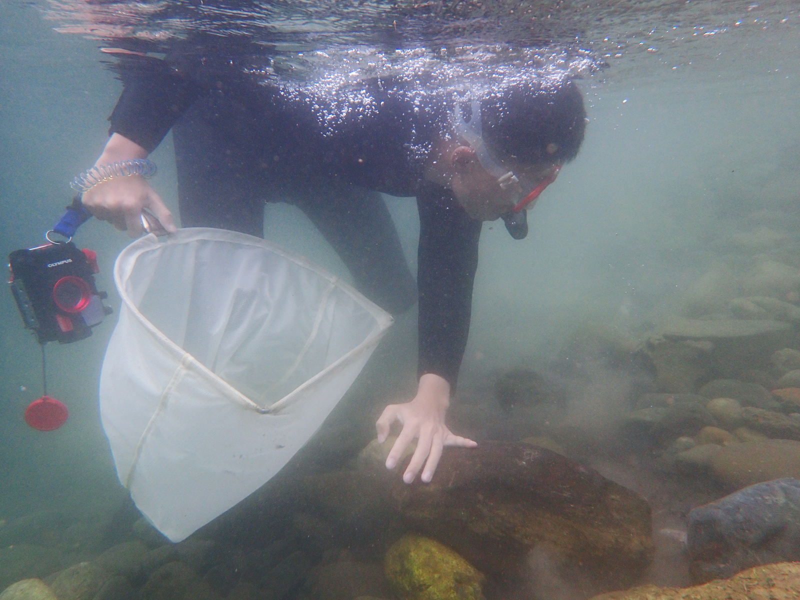 Field investigation conducted in northern Luzon, Philippines.Image