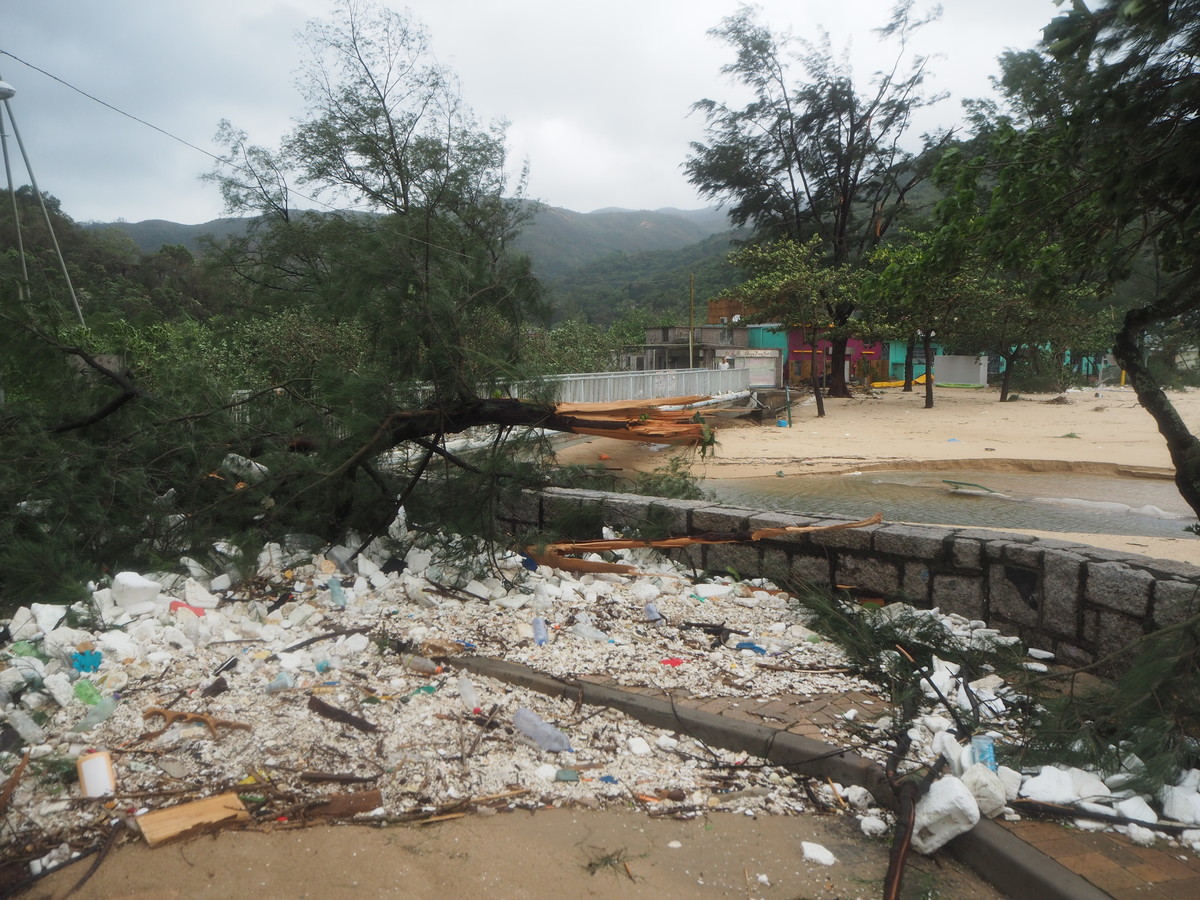 "We need to reduce the usage of plastic and we need other materials to be recycled too", said Professor Brimblecombe.  /photo provided by Professor Brimblecombe