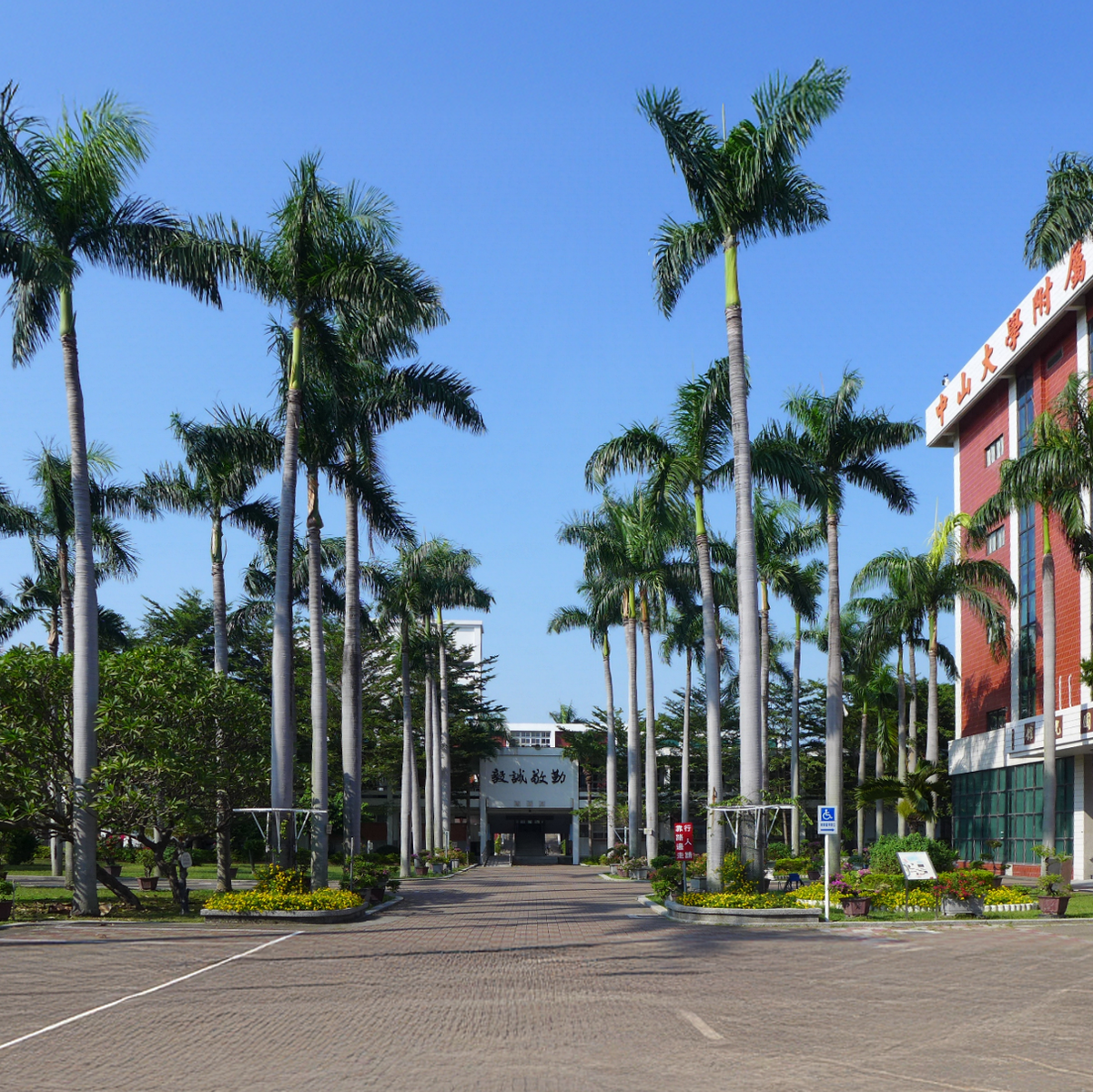 中山大學附屬中學