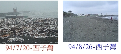 20050829 西子灣沙灘景觀恢復圖片
