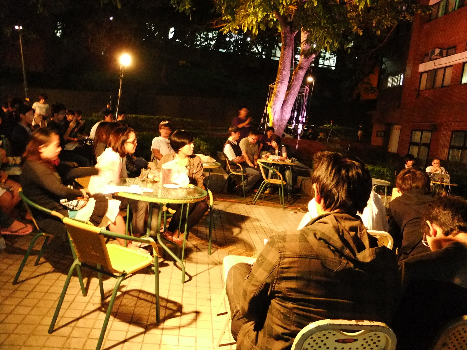吉他聲繚繞，雨樹下共度感恩佳節圖片