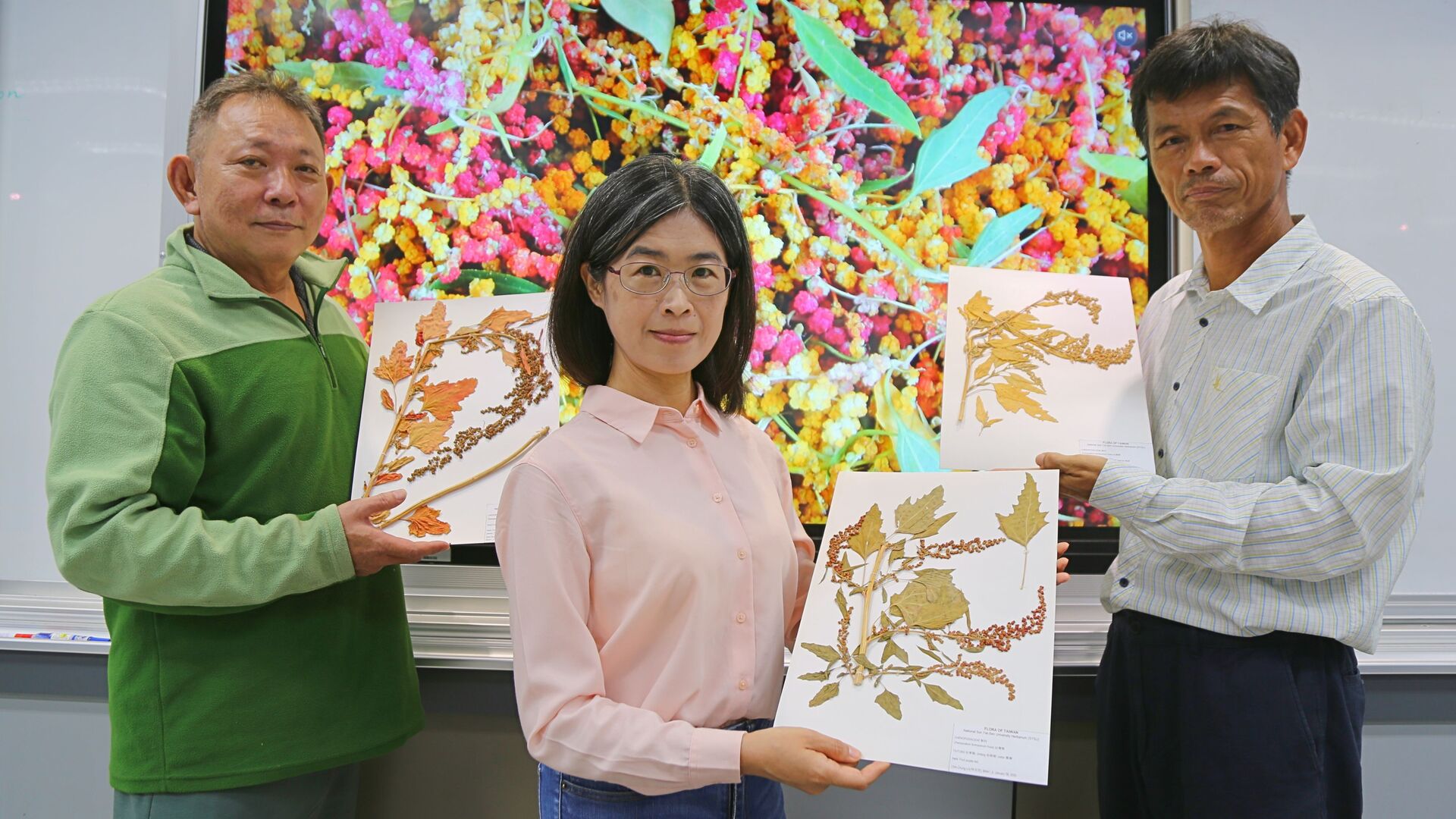 Shih-Hui Liu (center), Associate Professor of the Department of Biological Sciences at NSYSU, together with research team members Shu-Chung Wu (left) and Chih-Chung Lin (right), established the international growth stage code system for djulis.Image