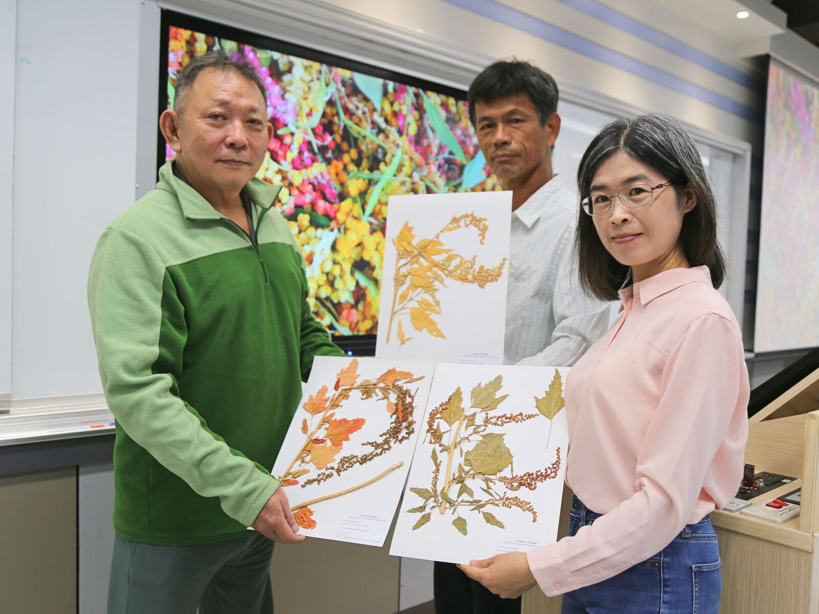 From right: Associate Professor Shih-Hui Liu of the Department of Biological Sciences at NSYSU, together with Chih-Chung Lin and Shu-Chung Wu, jointly established the international growth stage code system for djulis.Image