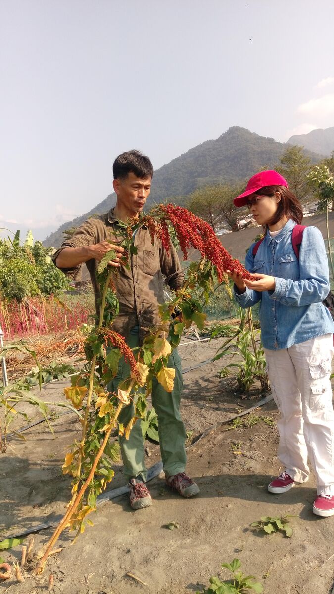 Shih-Hui Liu (right) and Chih-Chung Lin (left) conduct field sampling and measurements.Image
