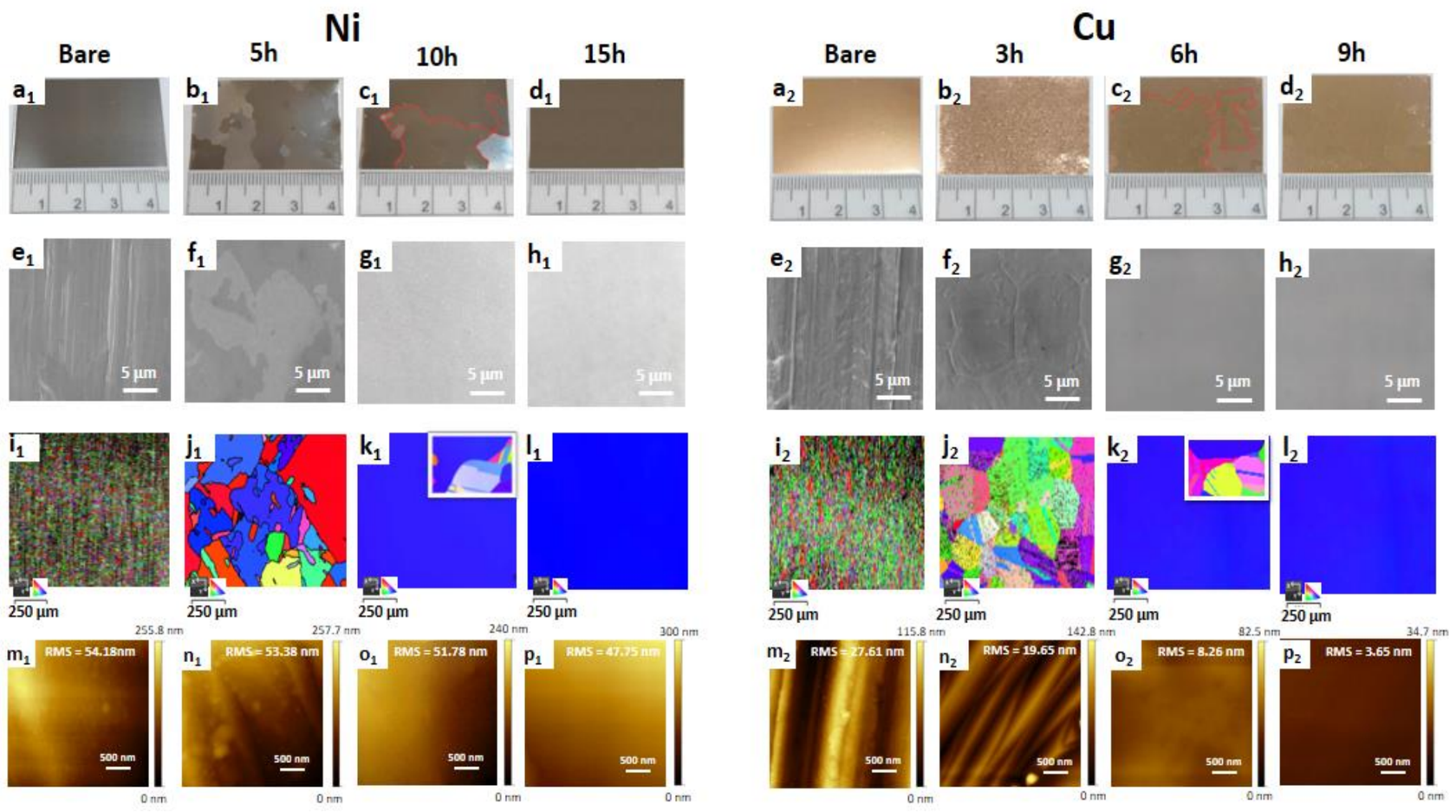 Photographs, FIB images and EBSD maps of Ni and Cu foils.Image