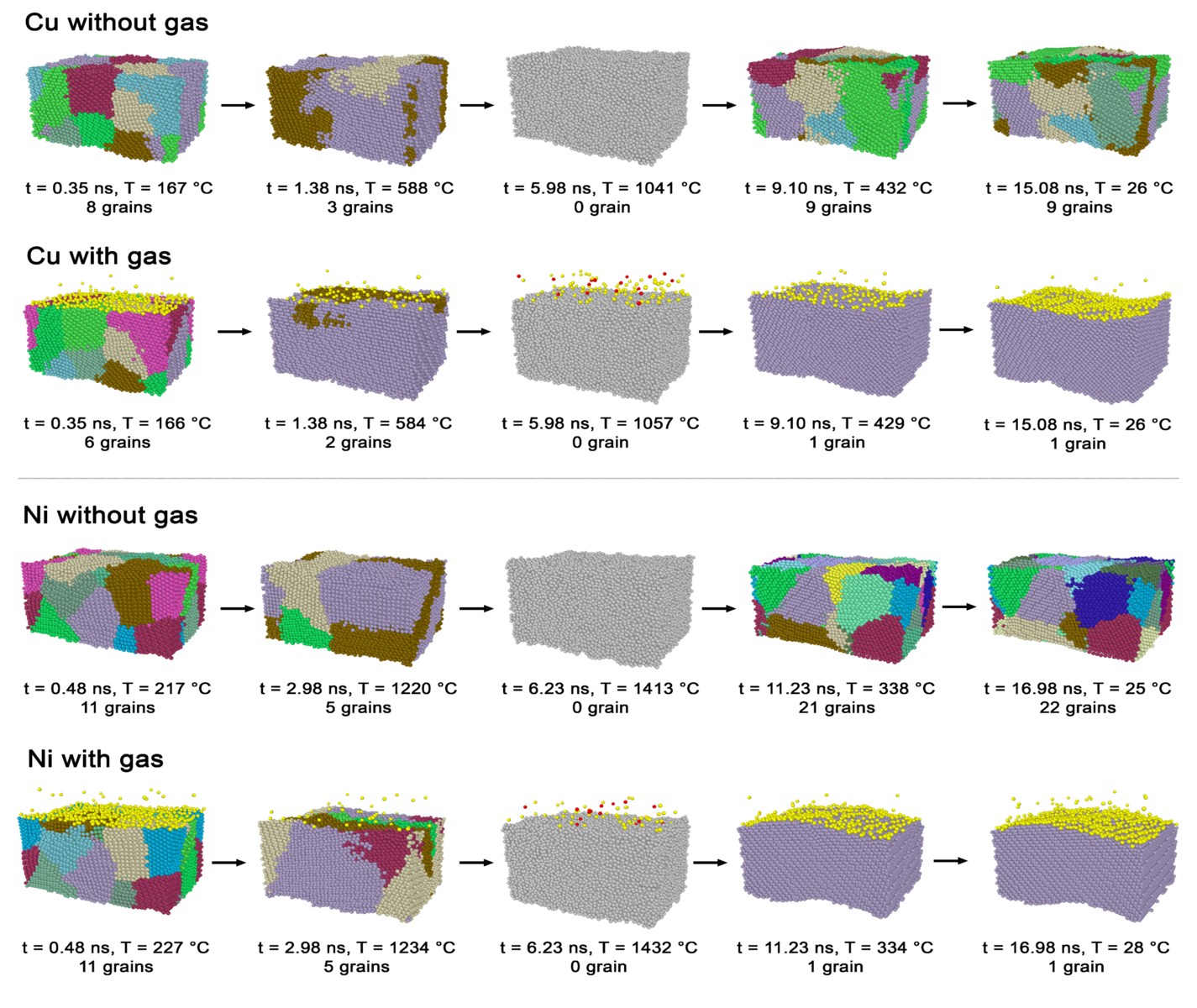 Molecular Dynamic (MD) computation snapshots of the heating, annealing, and cooling processes of Cu and Ni under conditions with and without gas presence.Image
