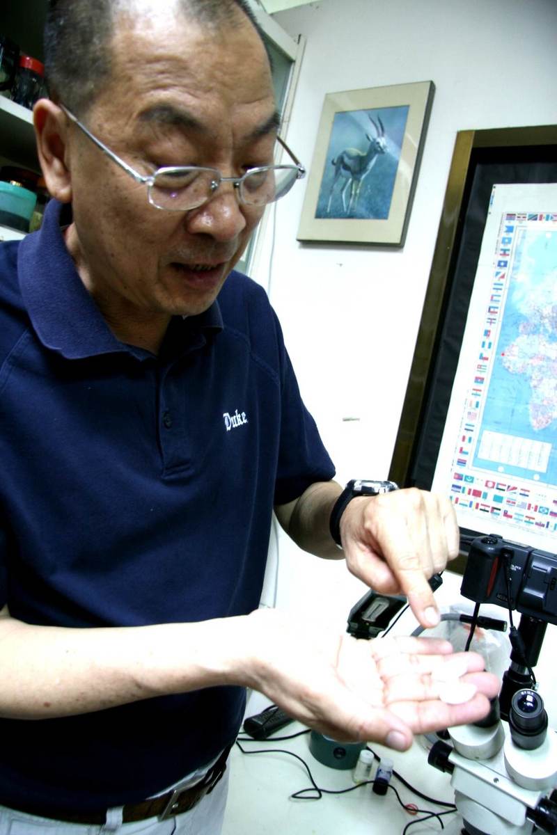 中山海生所莫顯蕎教授拿出石首魚耳石圖片