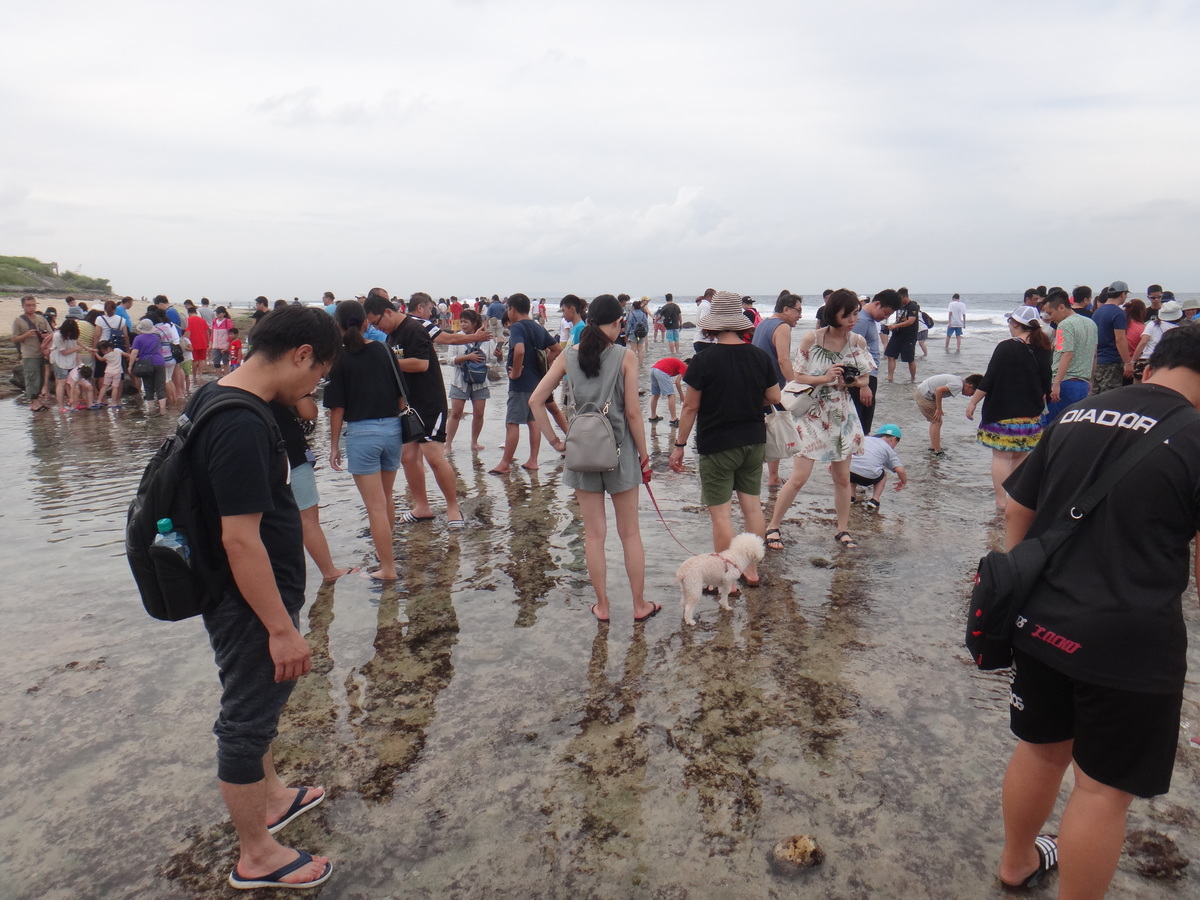 NSYSU and Pingtung County Government cooperate to save the environment of intertidal zones of Little Liuchiu