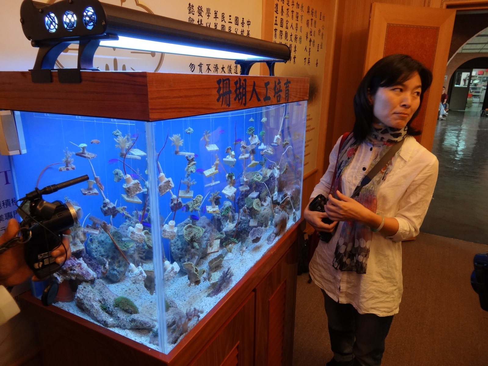海生館研究員解說圖片