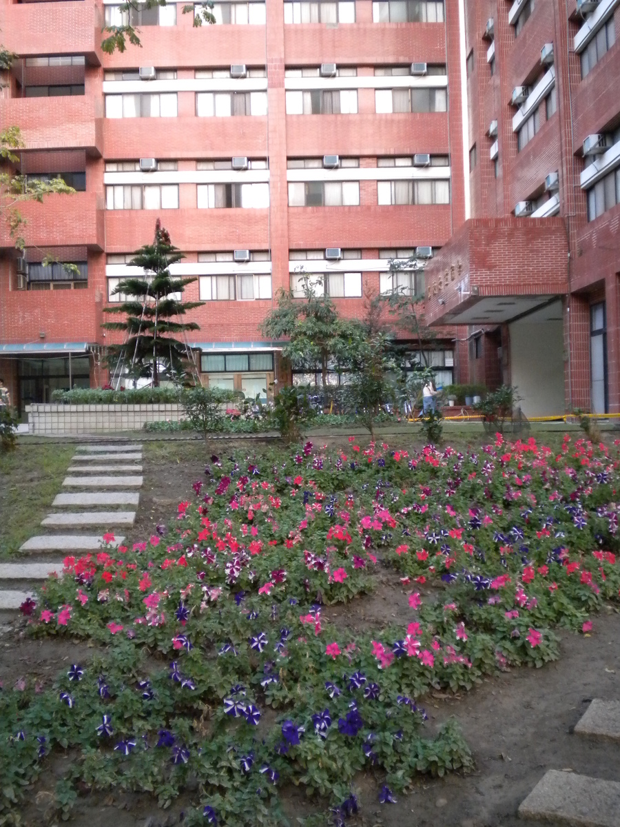 宿舍後花園等你來參與圖片