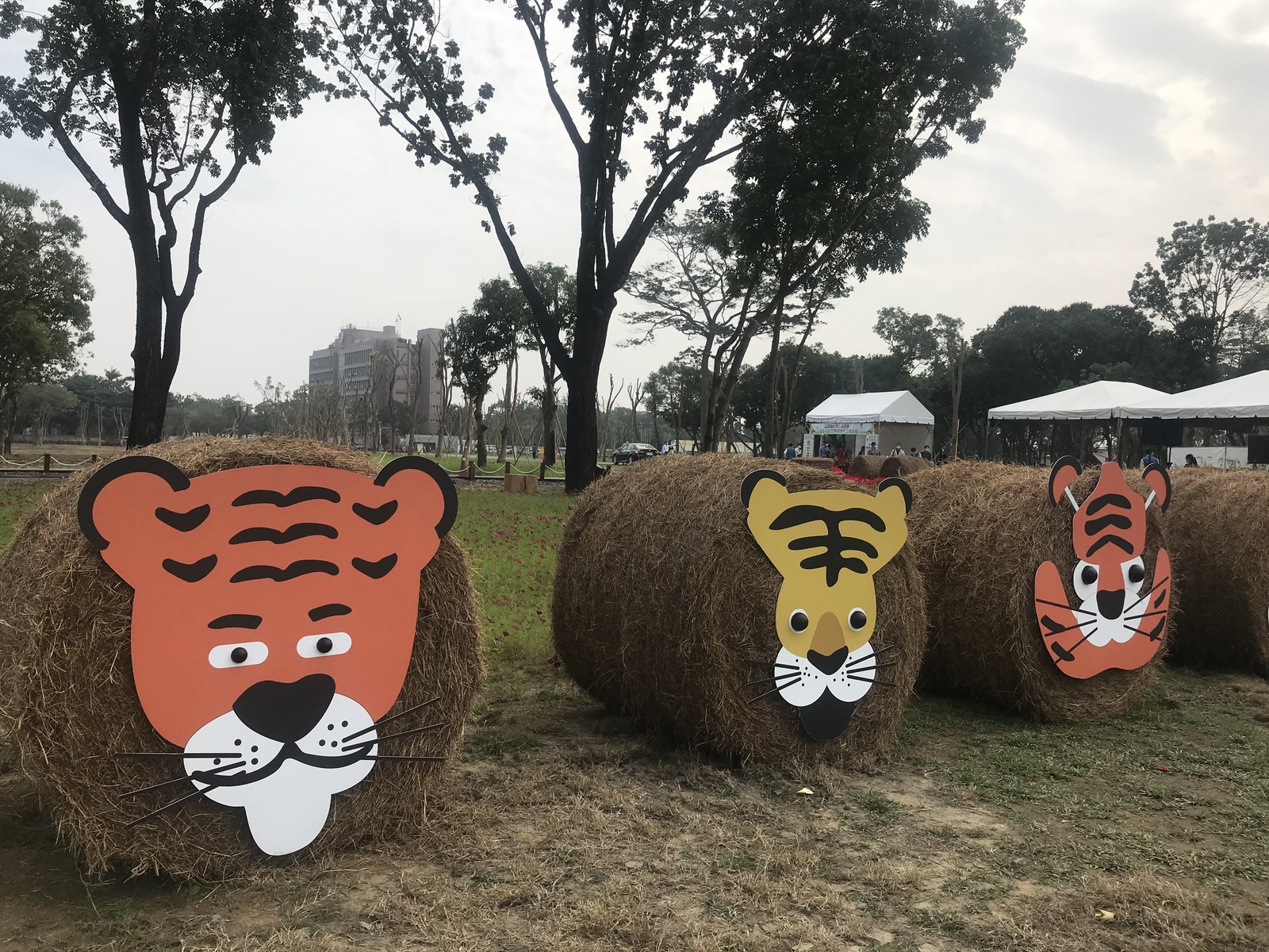 NSYSU, Kaohsiung City Government transform Renwu campus into recreational area for Chinese New Year