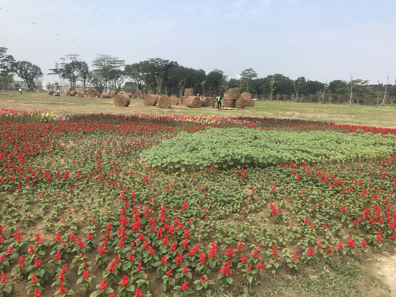 NSYSU, Kaohsiung City Government transform Renwu campus into recreational area for Chinese New Year