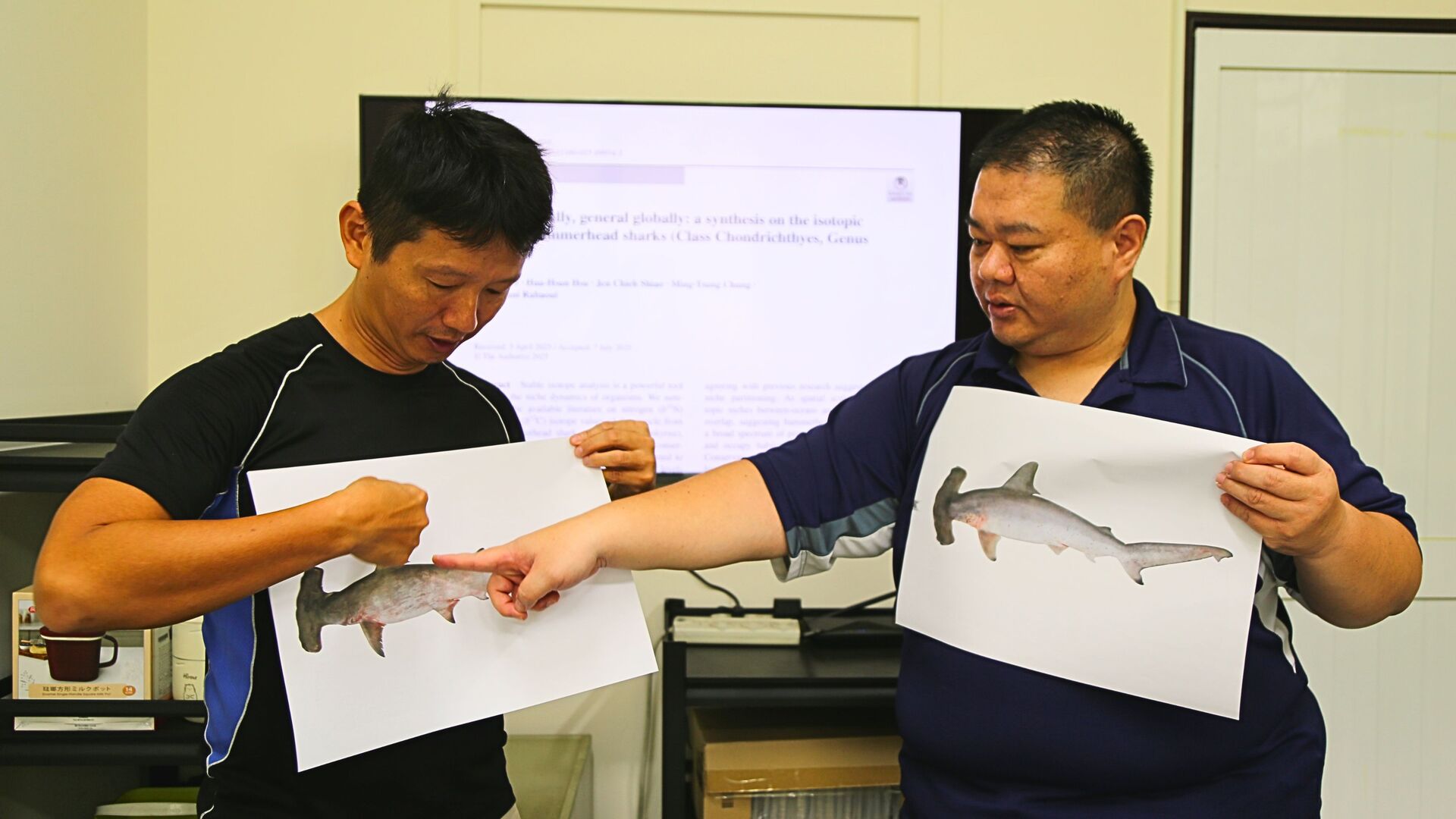 Assistant Professor Yu-Jia Lin (left) of NSYSU's Institute of Marine Ecology and Conservation and Dr. Hua-Hsun Hsu, Research Fellow at the Fisheries Research Institute, examined the flexible feeding behavior of hammerhead sharks and proposed an innovative conservation perspective.Image
