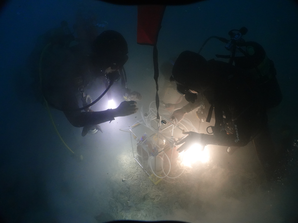 Divers collecting samples on the seabed off the coast of Gueishan Island / Photo by Islander Divers