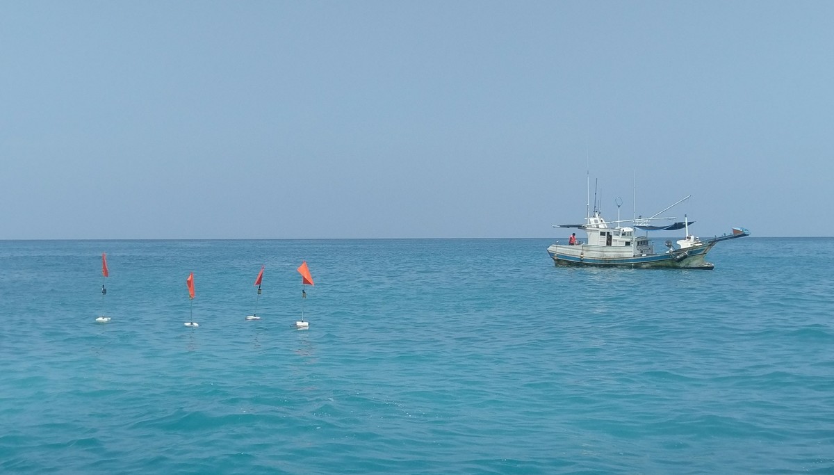 Marker buoys set by the researchers / Photo by Islander Divers