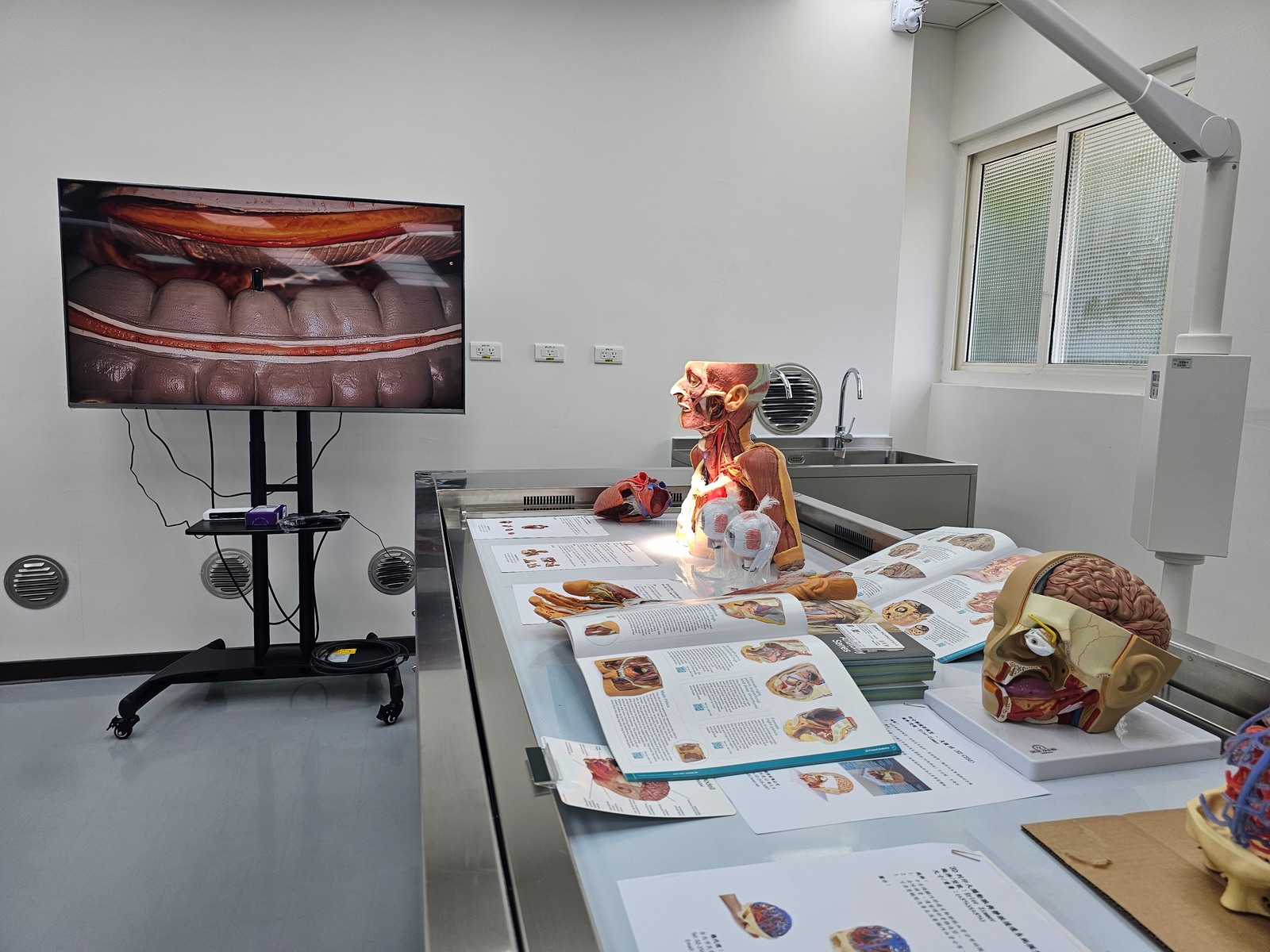 The "NSYSU-CGMH Truemeiyuan Anatomy and Surgical Simulation Innovation Center" features cutting-edge anatomical teaching tools.Image