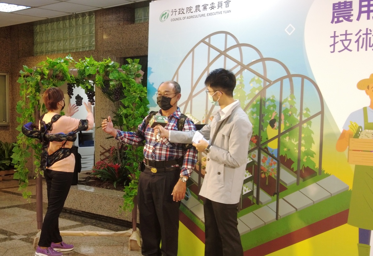 Farmers from Changhwa demonstrating grape hand harvesting using the wearable manpower-saving device.