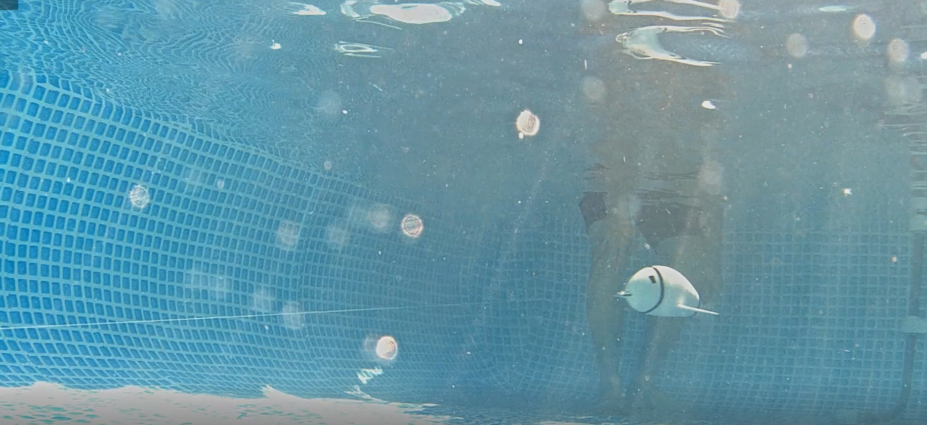 Students show off their creativity during competition for biomimetic underwater fish modelsImage