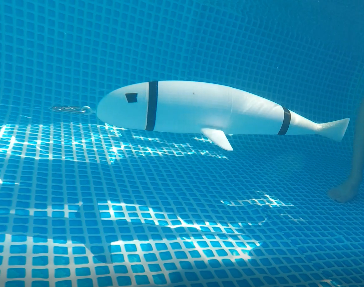 Students show off their creativity during competition for biomimetic underwater fish modelsImage