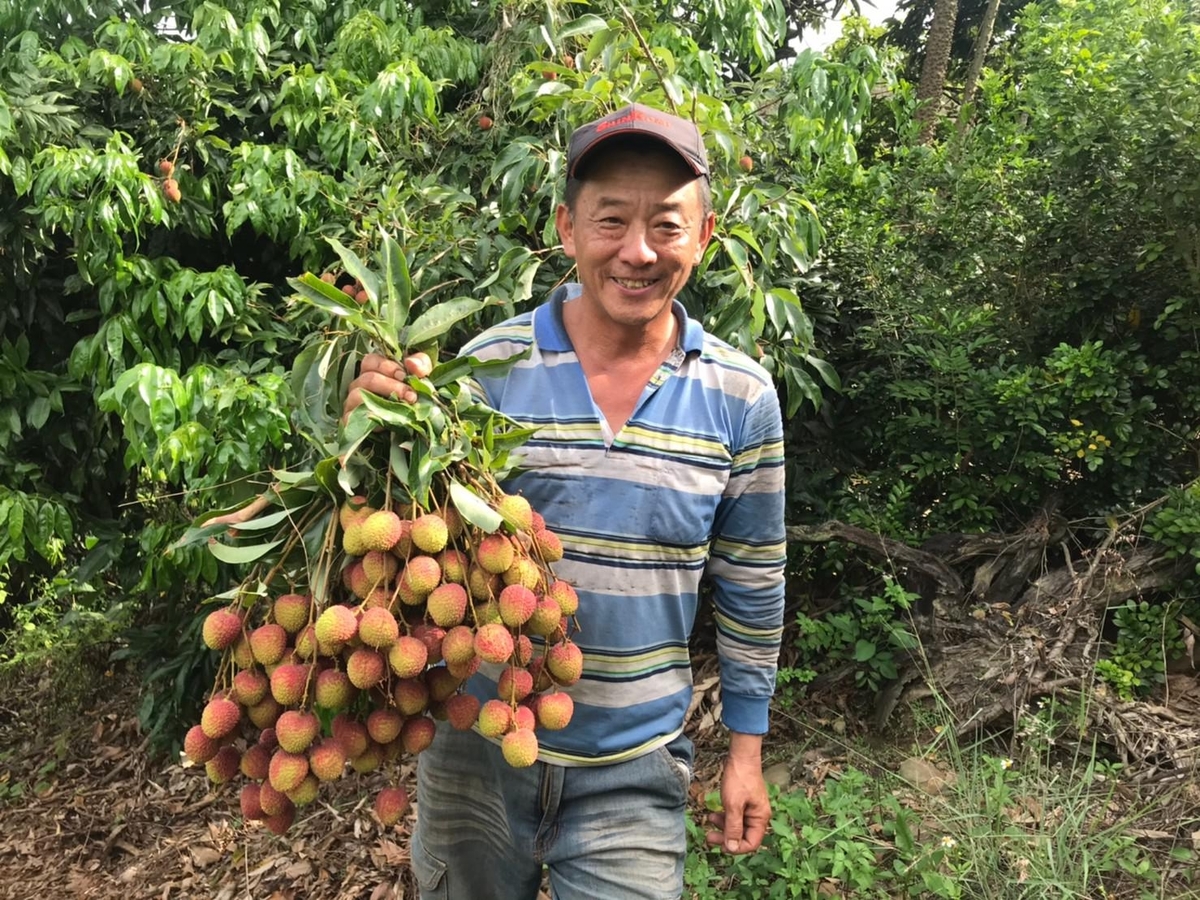 The collaborators are small local farmers in southern Taiwan.Image
