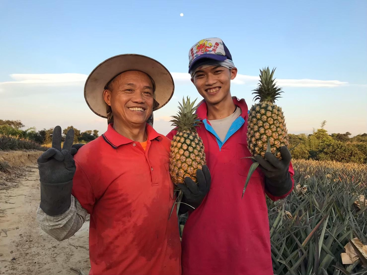 NSYSU supports small farmers for social innovation and sustainable agricultureImage