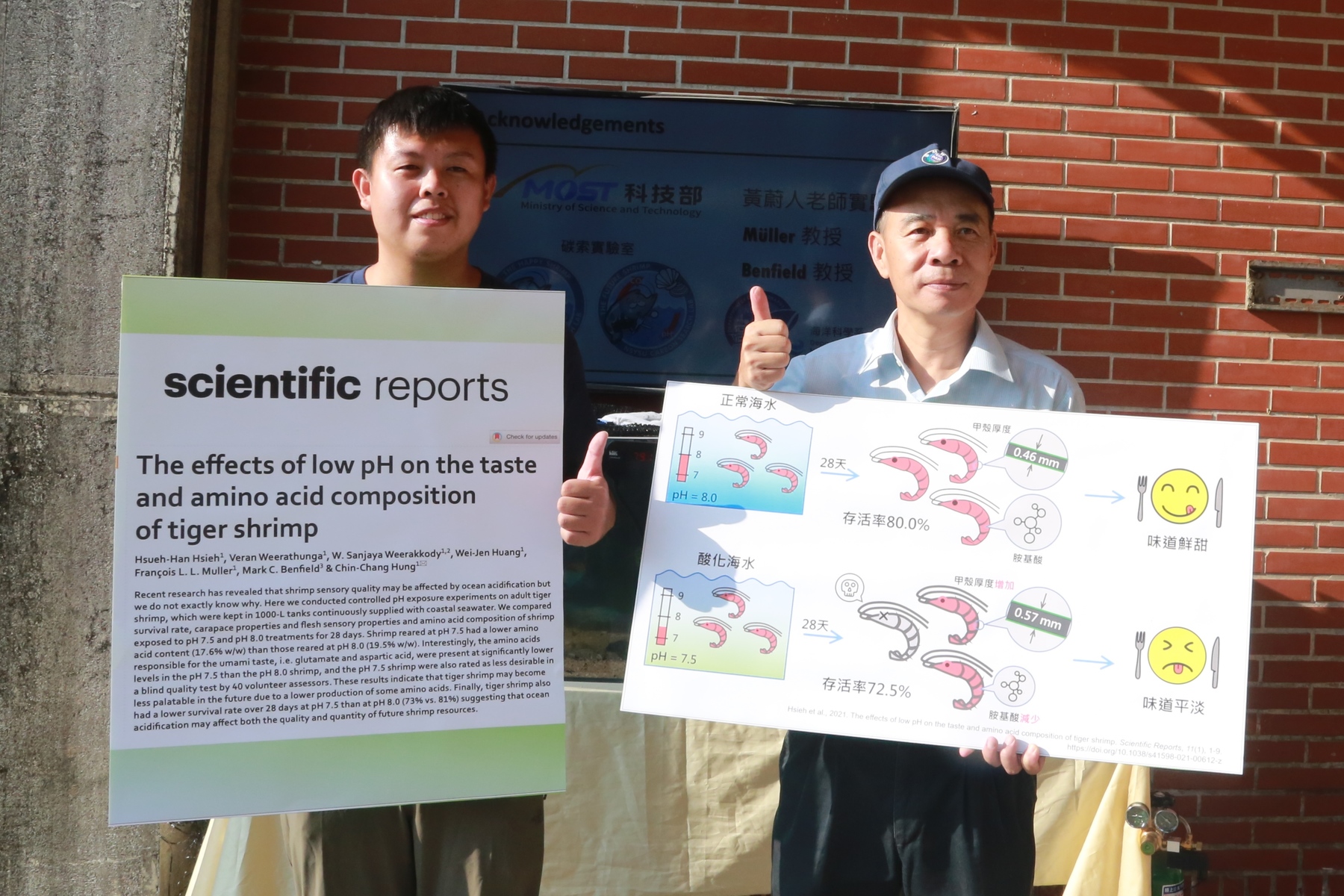 Ocean acidification affects taste and amino acid composition of tiger shrimp: NSYSU’s new study in Scientific Reports