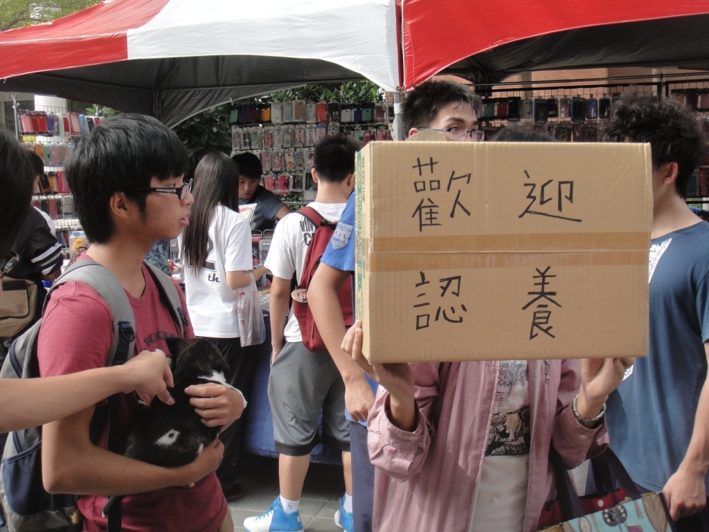 管院三寶 認養宣傳圖片