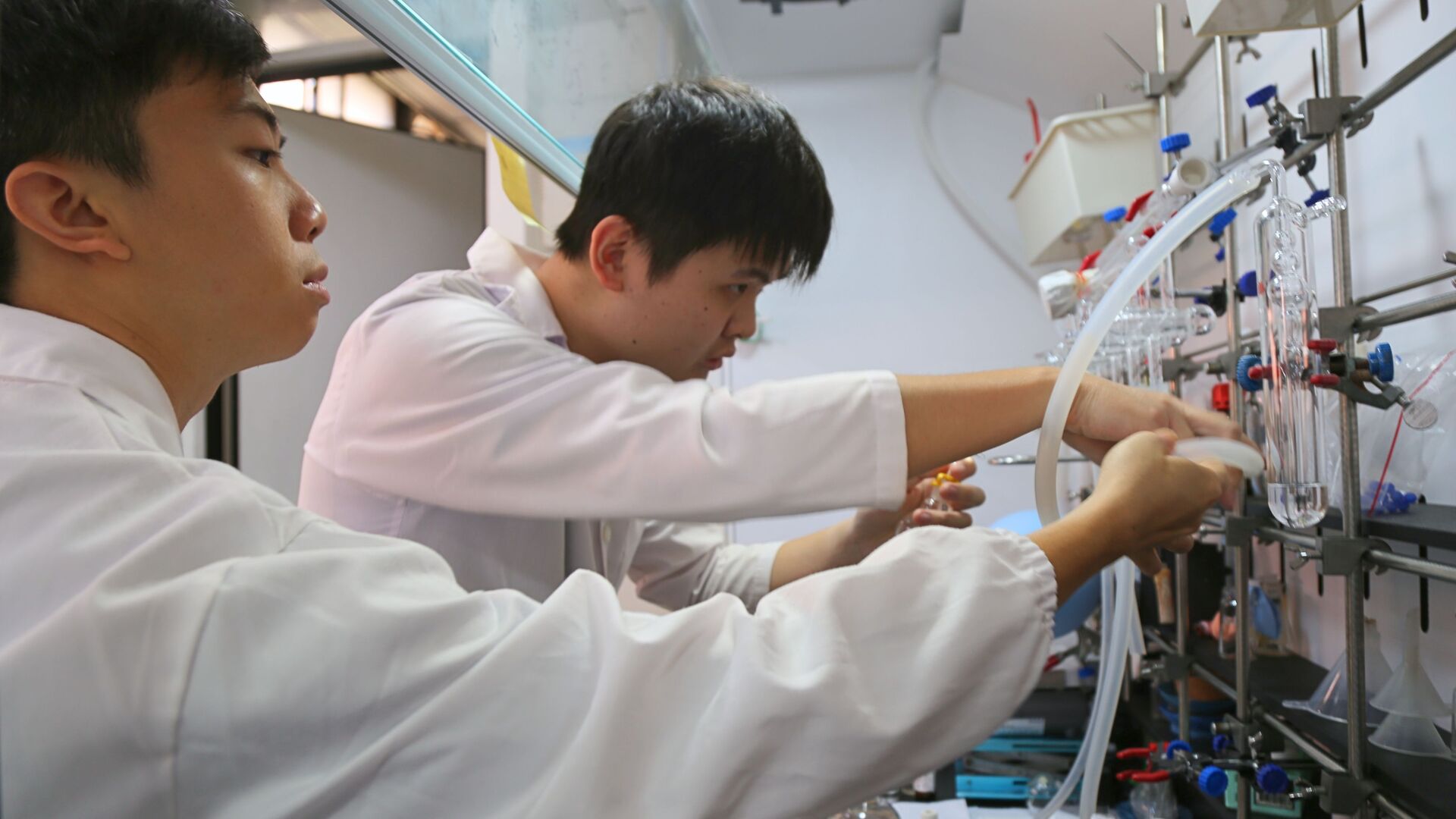 Removing the solvent medium under reduced pressure.Image