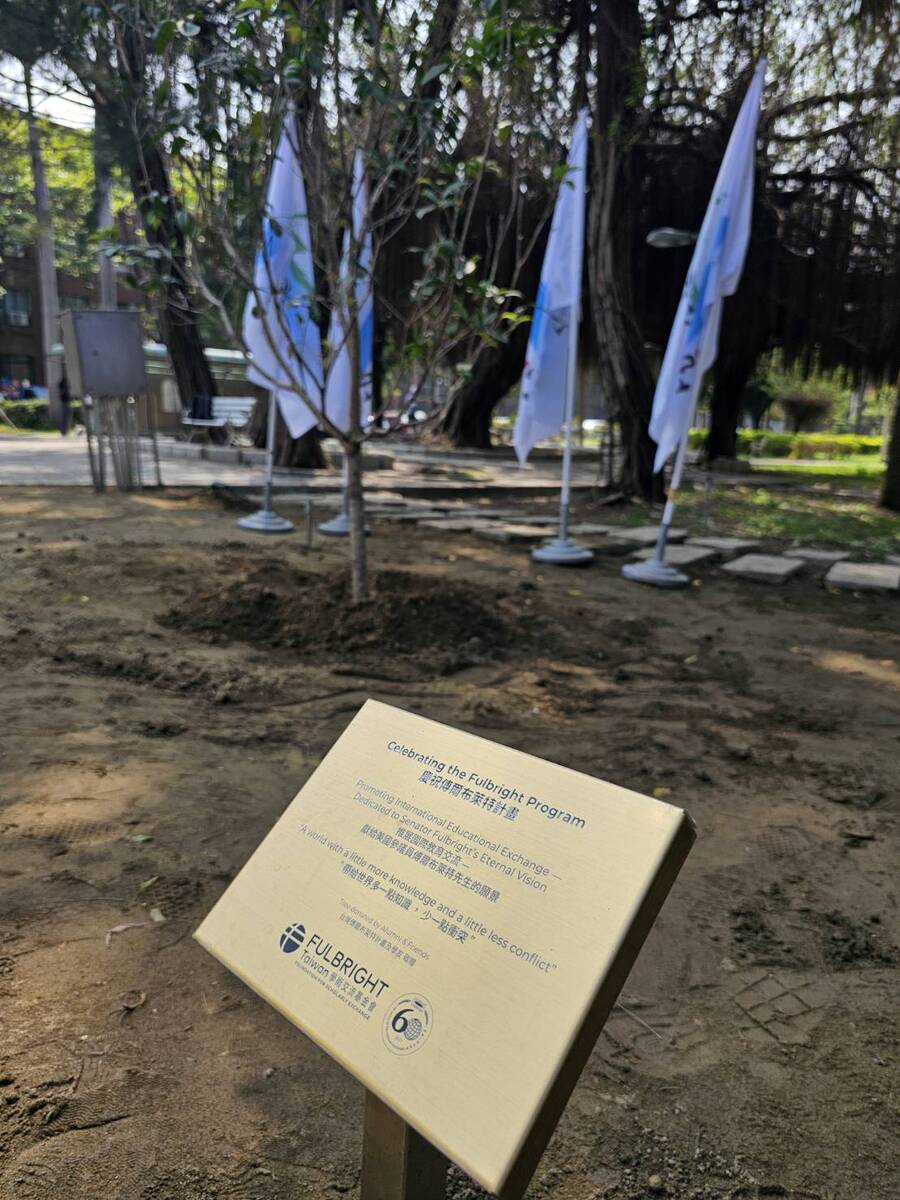 Two Osmanthus trees next to the 360 University House