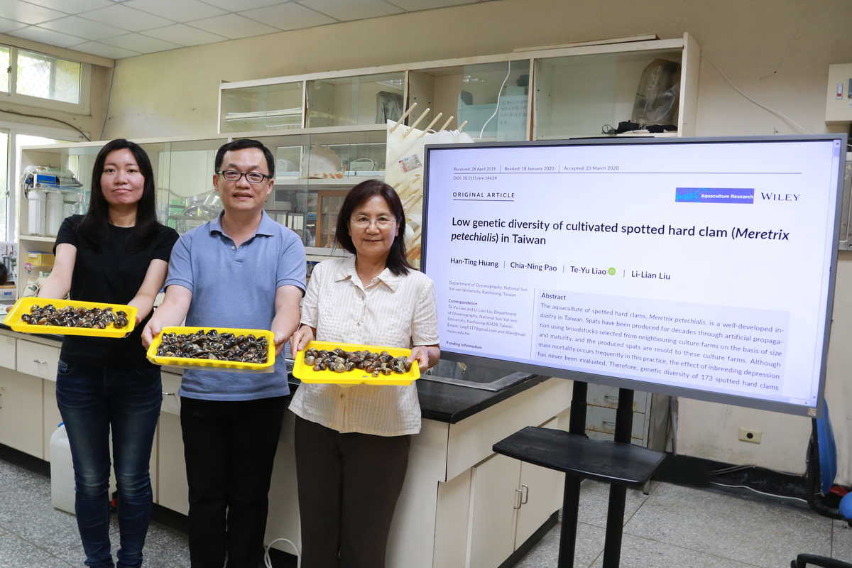 The team of the Department of Oceanography formed by Associate Professor Te-Yu Liao (in the center), Professor Li-Lian Liu (on the right), and master program student Chia-Ning Pao (on the left), through a study, suggested the low genetic diversity of artificial-propagated clams is unfavorable to their survival and recommended the introduction of wild individuals to the farms to diversify the gene pool.