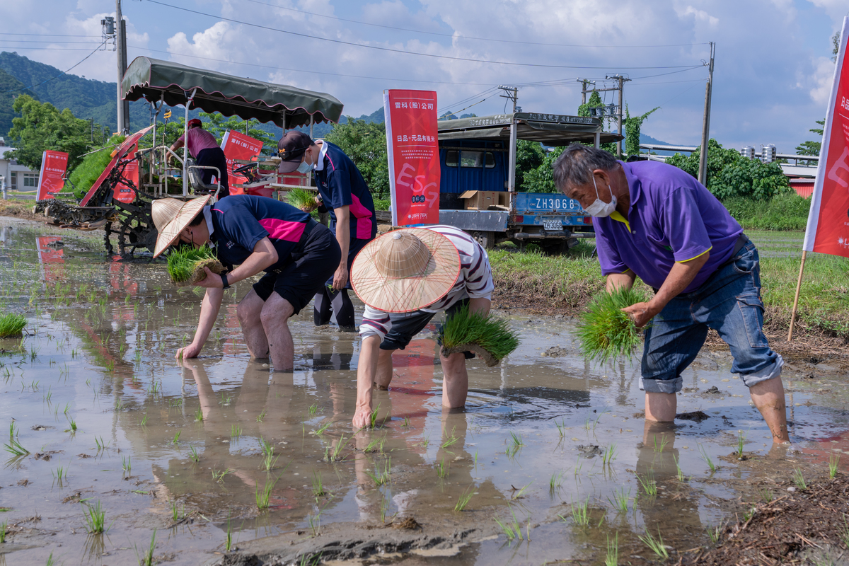 Farmers of Yuan-Pin Organic Rice showing the participants how to transplant rice seedlings.