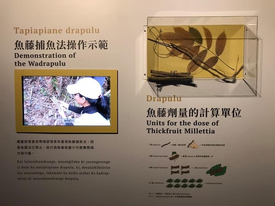 NSYSU, Rukai Cultural Museum in Wutai Township, Wutai Elementary School, and National Museum of Marine Biology and Aquarium jointly organize exhibition on Rukai Fish and River FishingImage