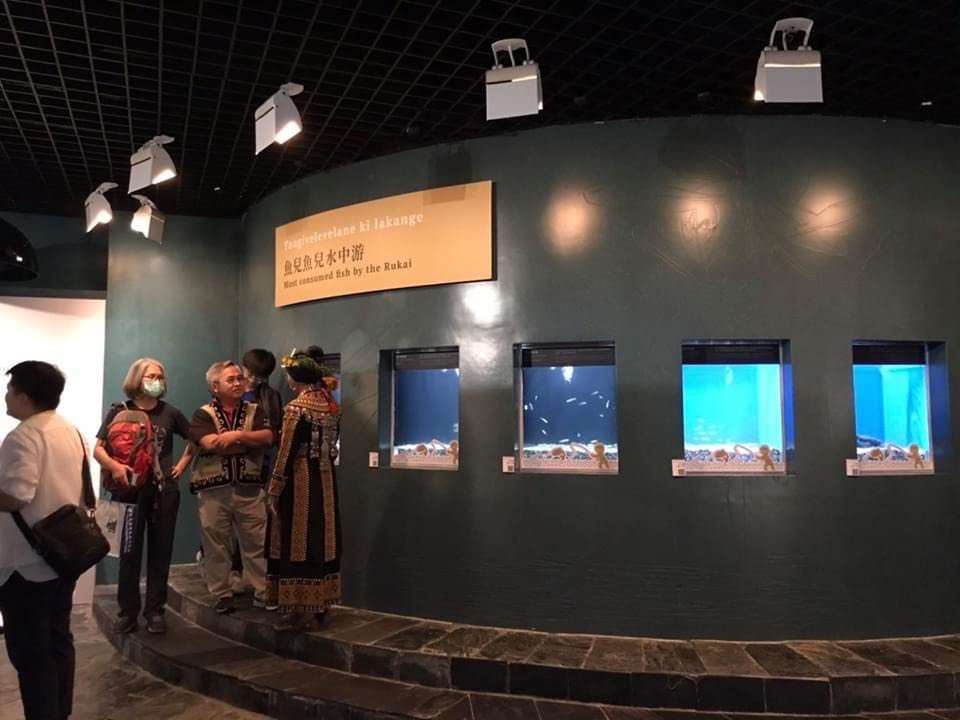 NSYSU, Rukai Cultural Museum in Wutai Township, Wutai Elementary School, and National Museum of Marine Biology and Aquarium jointly organize exhibition on Rukai Fish and River FishingImage