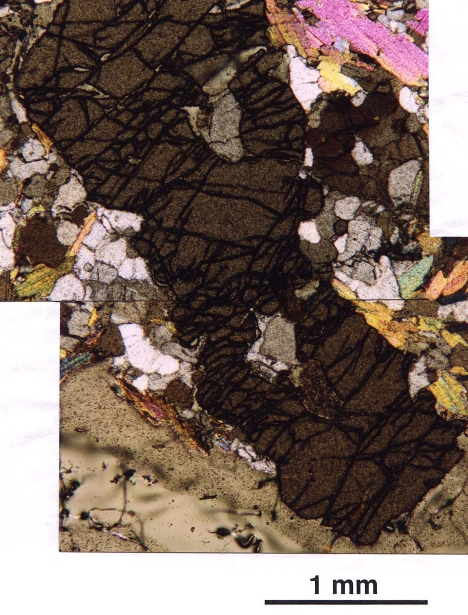 Garnet (dark) with mineral inclusions under optical plane polarized light (crossed polarizers).圖片
