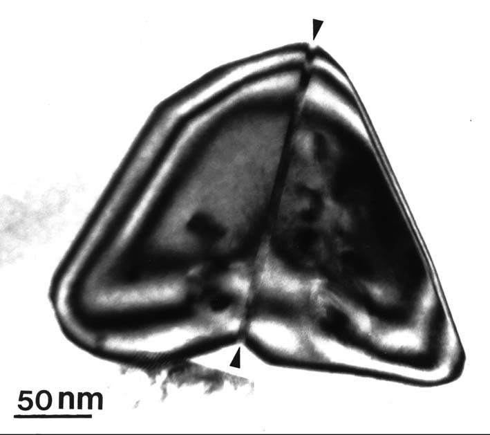 Transmission electron micrograph of nanometer-size α-PbO2-type TiO2 (arrow) sandwiched between twinned rutile bicrystals. Cf. S.L. Hwang, P. Shen, H.T. Chu, T.F. Yui, Science 288 (2000) 321.圖片