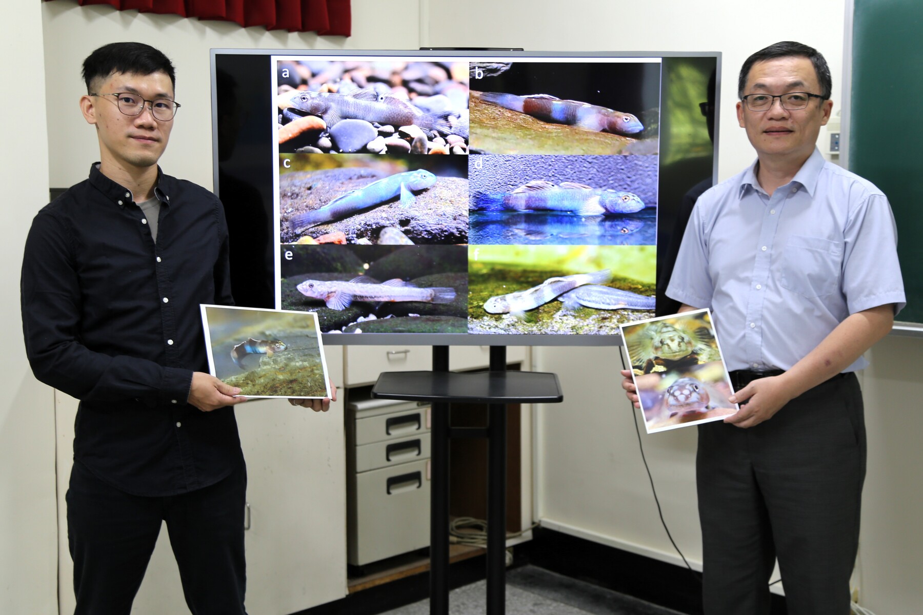 Distinguished Professor Te-Yu Liao (right) of National Sun Yat-sen University, currently serving on secondment as Director General of the Taiwan Ocean Research Institute (TORI) at the National Institutes of Applied Research (NIAR), and Ph.D. student Wei-Cheng Jhuang (left), have recently named a new fish species, Lentipes ptasan.Image