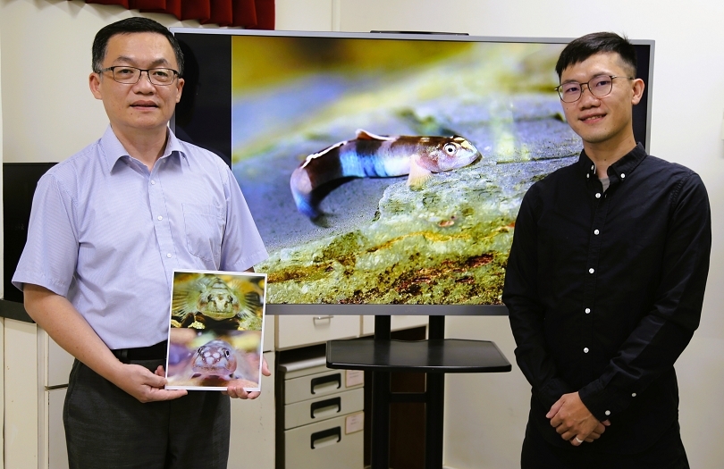 Naming a new goby species inspired by indigenous facial tattoo traditions NSYSU identifies Lentipes ptasan