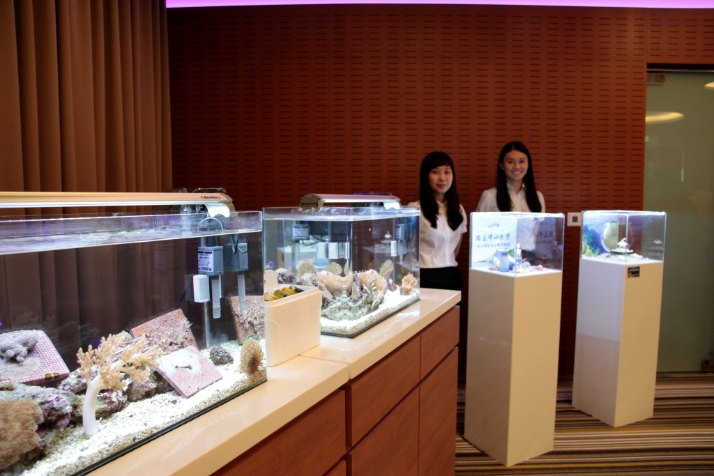 珊瑚缸及產品展示圖片