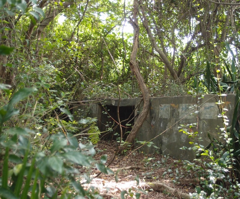 日軍防空砲陣地圖片
