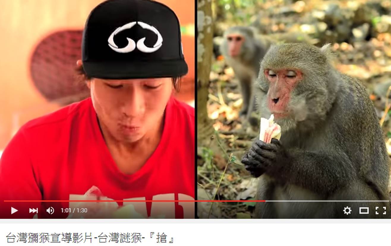 食不露白圖片