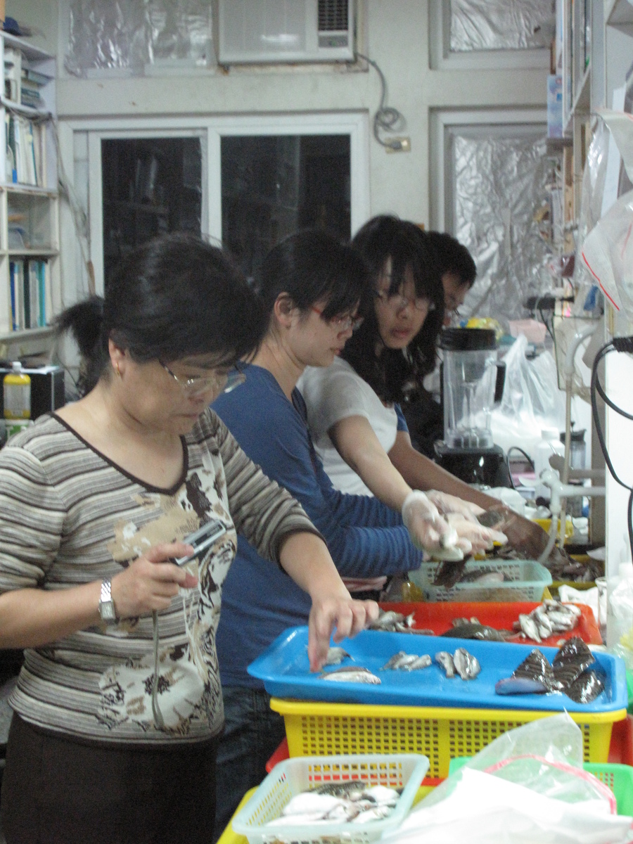 The team sort the trawling specimens and take pictures of the fish.