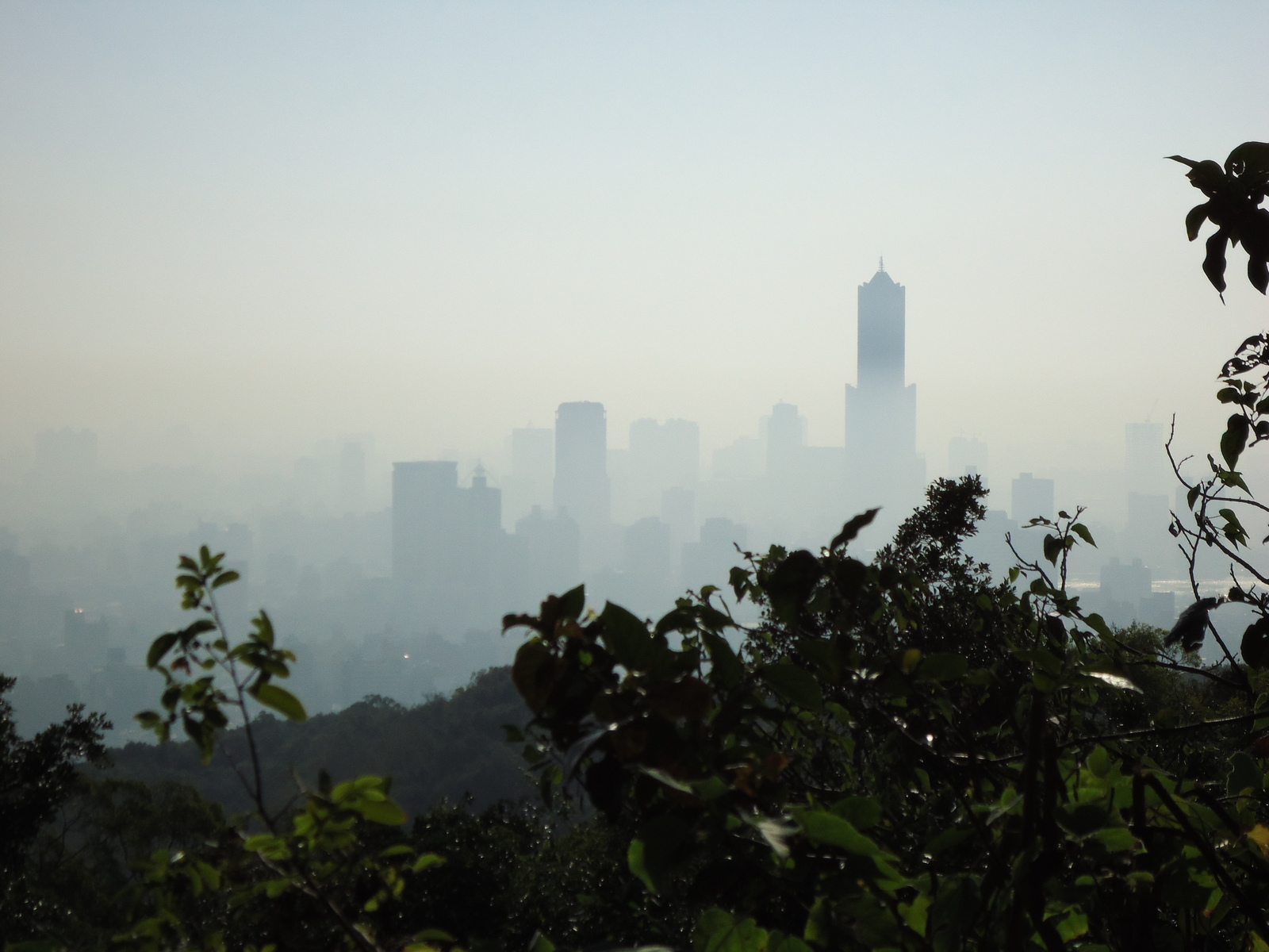 俯視高雄市景圖片