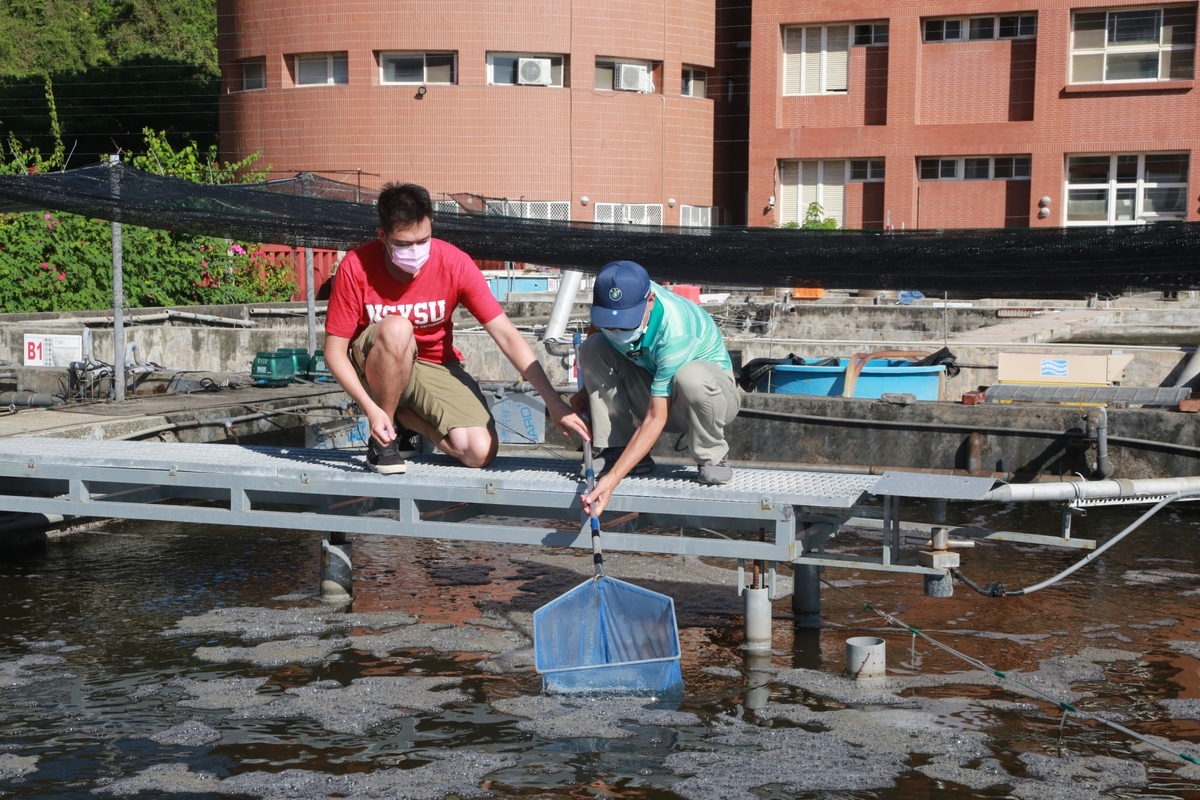 Chairman of NSYSU CFE and Dean of the College of Marine Sciences Chin-Chang Hung (on the right) with CFE Extension Professor Liang-Chun Mark Wang inspecting the aquaculture.