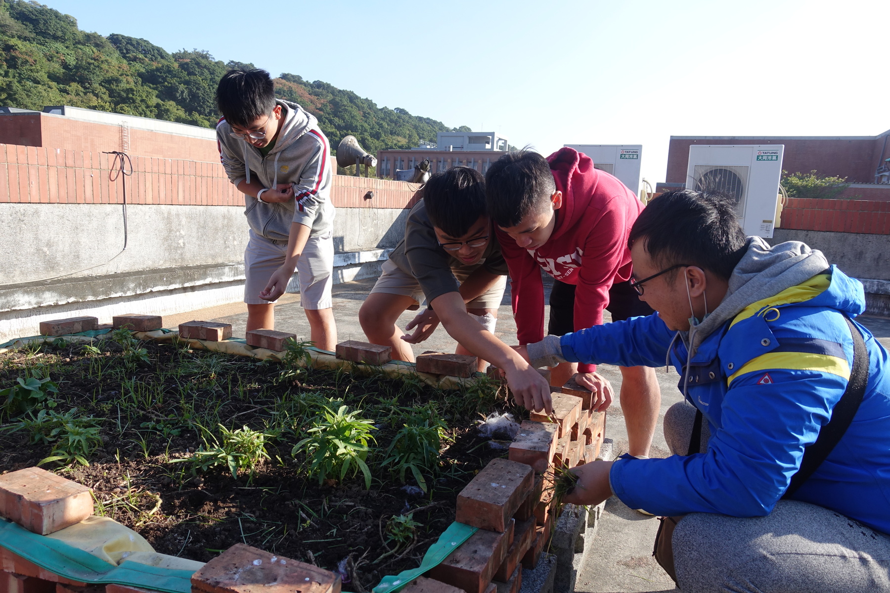 For the past 2 years, the students of the Food and Agriculture Society at NSYSU have been keeping an organic, toxic-free garden on the rooftop of the building of the College of Social Sciences.